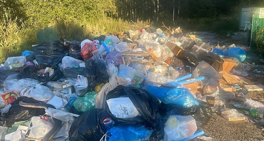 В Киржачском районе после вмешательства прокуратуры налажен вывоз мусора