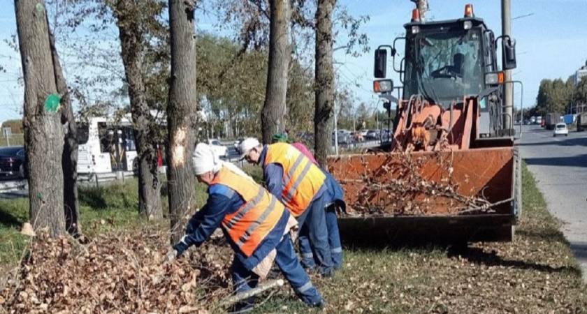 Во Владимире городские службы круглосуточно поддерживают чистоту на улица