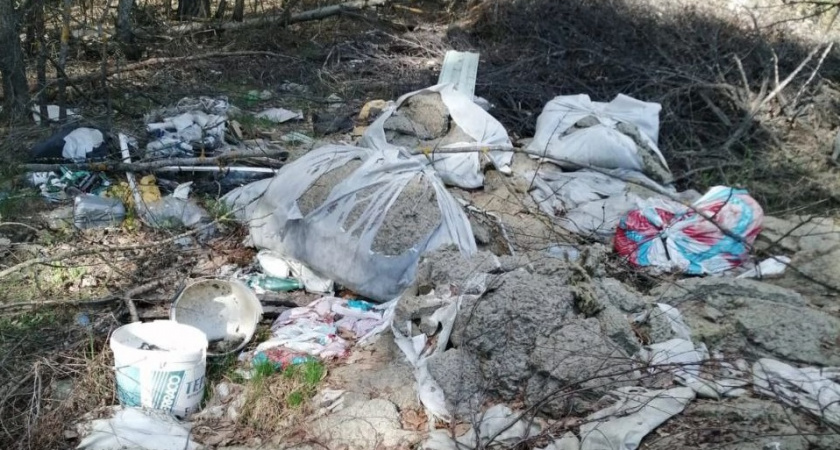 В Петушинском районе ликвидируют незаконную свалку площадью 1100 квадратных метров