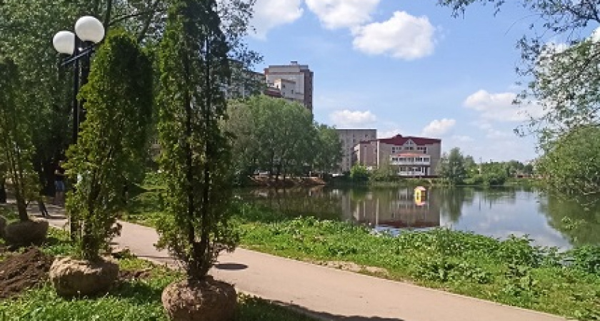 Во Владимире закрывают Соловьиный пруд для обработки от грызунов