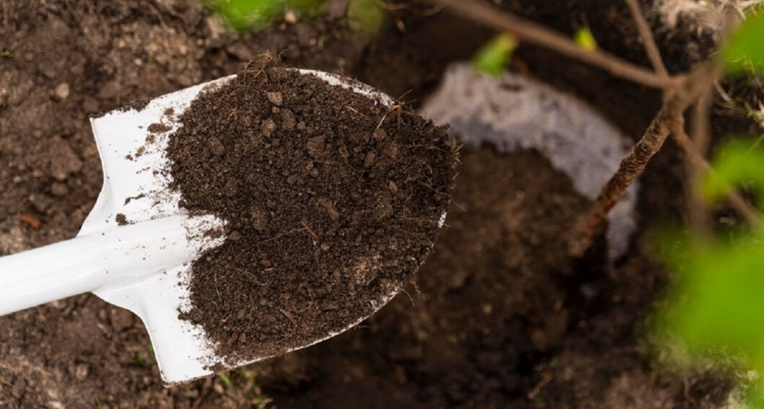 Превращаем почву в чернозем осенью: 5 важных компонентов преобразят даже самую бедную землю