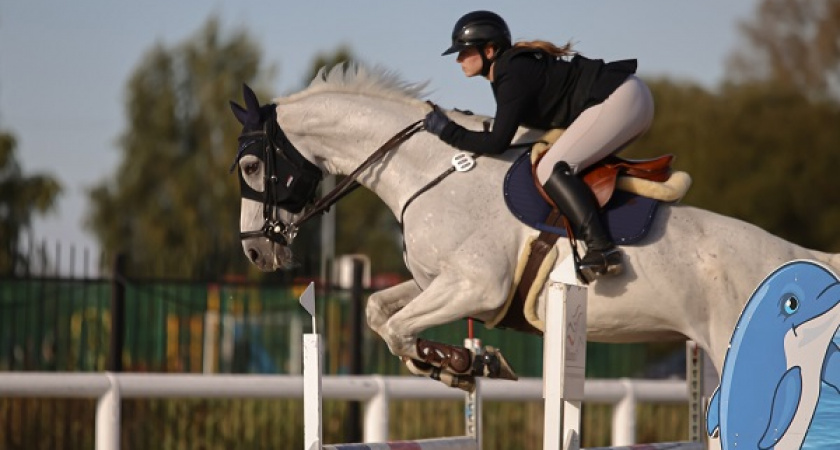 Владимирская деревня приняла финал кубка по конному спорту