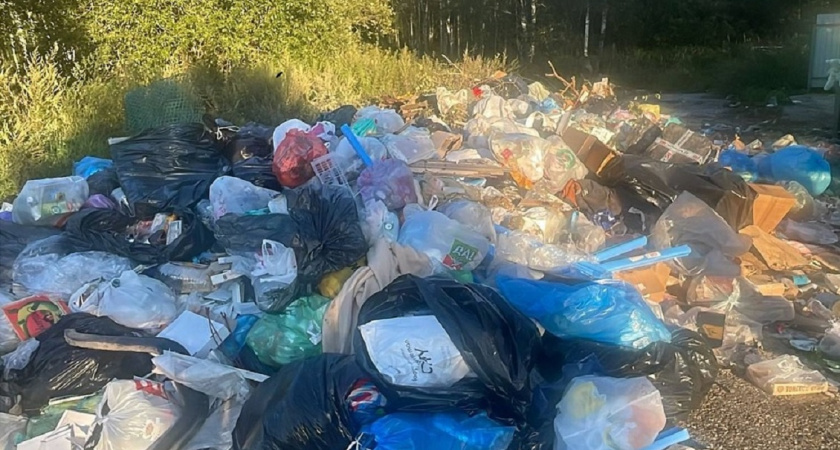 Россиянам разъяснили, что грозит за выброшенный мимо урны мусор - вплоть до уголовки