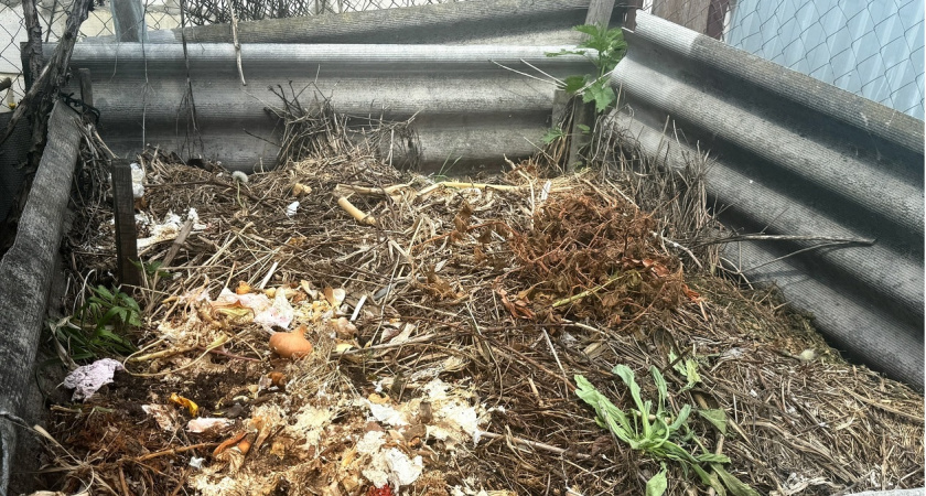 Создаем идеальный компост без ошибок: 8 главных мифов, из-за которых вы лишаетесь лучшего удобрения