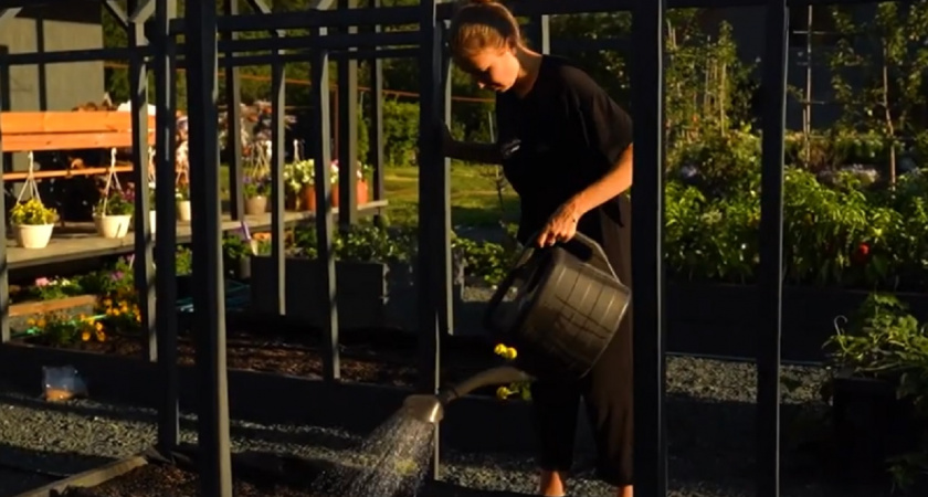 Защита огорода от болезней: чем обработать грядки осенью, чтобы летом не плакать над скудным урожаем