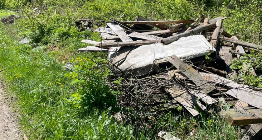 В Судогодском районе ликвидировали лесную свалку в 3 000 квадратных метров