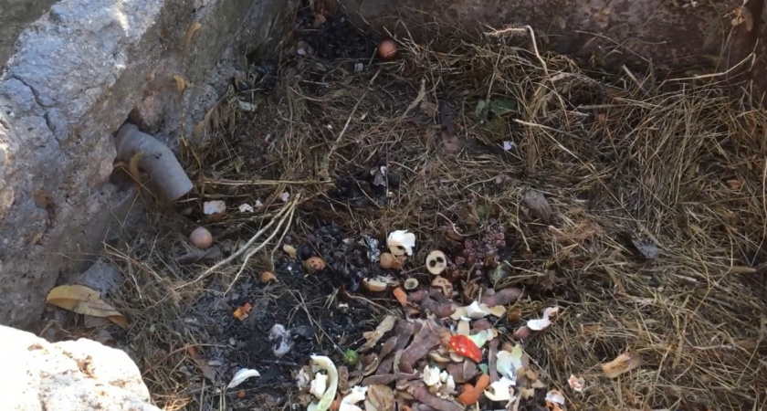 Золото для грядки: как превратить осенний мусор в элитное удобрение к весне - советы опытного агронома