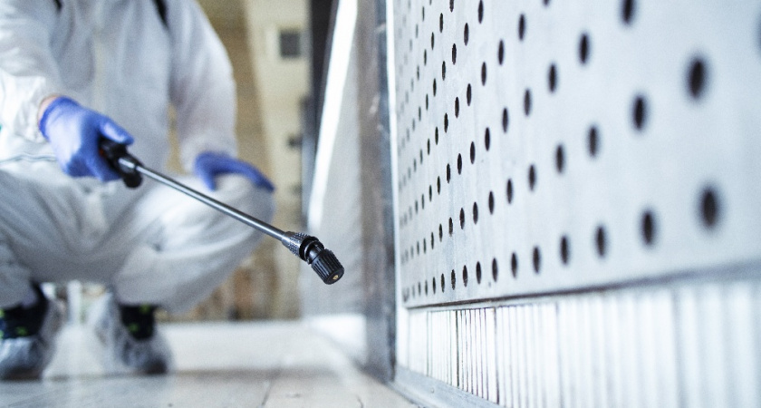 Во Владимире пройдёт плановая обработка шести улиц от грызунов