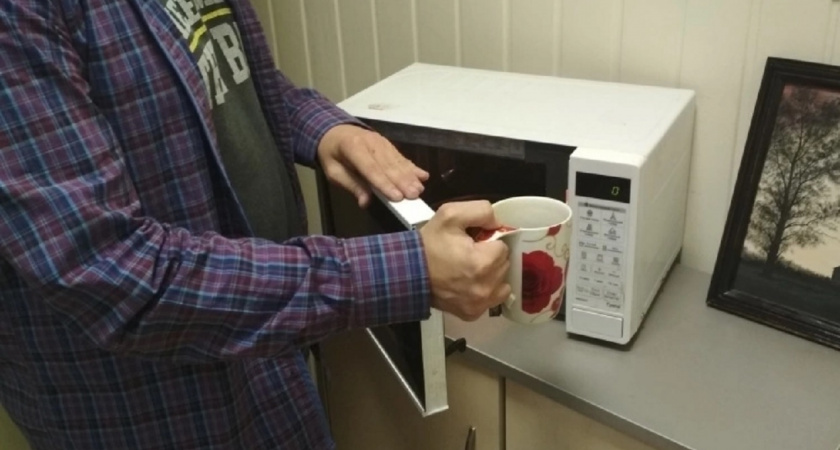 Не вздумайте ставить в микроволновку: что категорически запрещено разогревать в ней - полный список