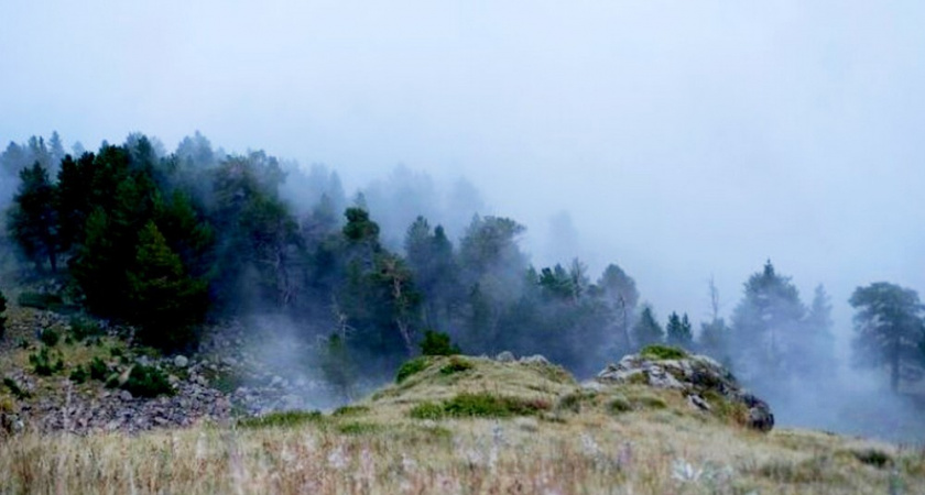 МЧС предупреждает о трёхдневной пожарной опасности во Владимирской области