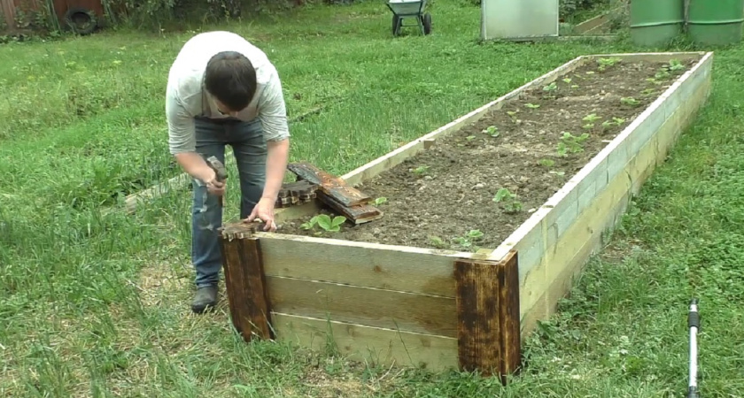 Делаю теплую грядку осенью и получаю богатый урожай гораздо раньше соседей - делюсь инструкцией