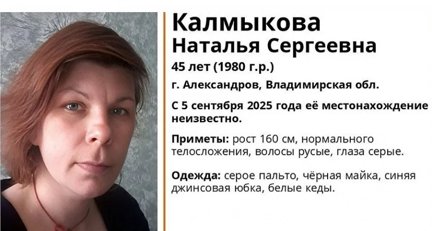 Волонтеры ЛизаАлерт разыскивают пропавшую жительницу Александрова