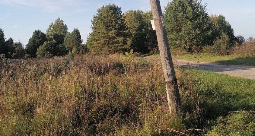 Жители Селивановского района пожаловались на покосившиеся столбы