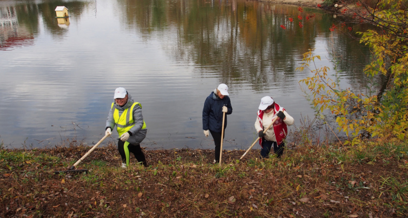 Во Владимире пройдет общегородской субботник 11 октября