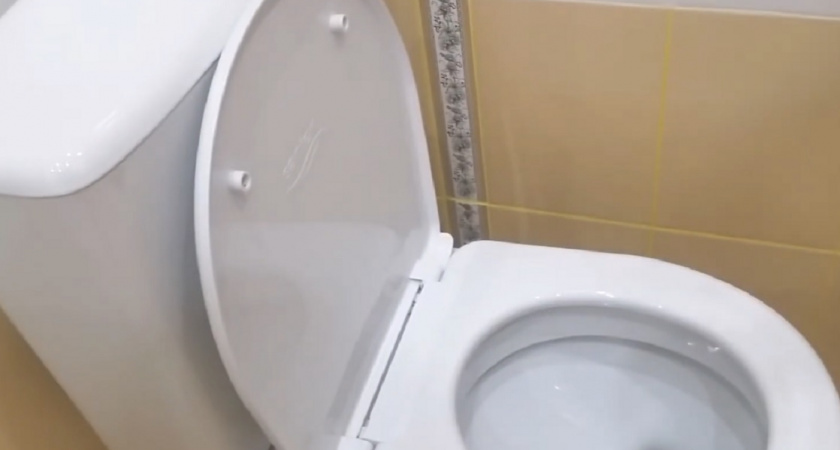 Лью этот сок прямо в унитаз, и налет сам отпадает: простой, но действенный лайфхак