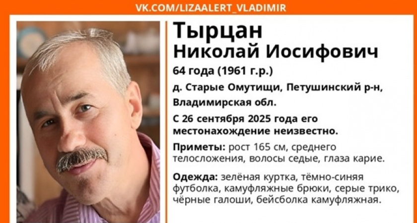 В Петушинском районе пропал пенсионер в камуфляжных брюках 