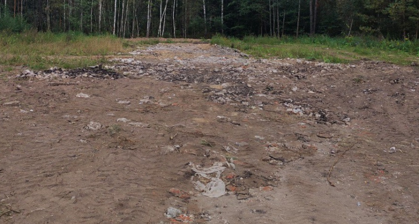 В Судогде ликвидировали две незаконные свалки после вмешательства прокуратуры