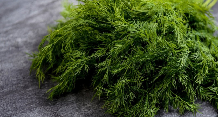 Зелень больше не морожу и не сушу на зиму, а делаю ароматную приправу: сохраняем пользу надолго