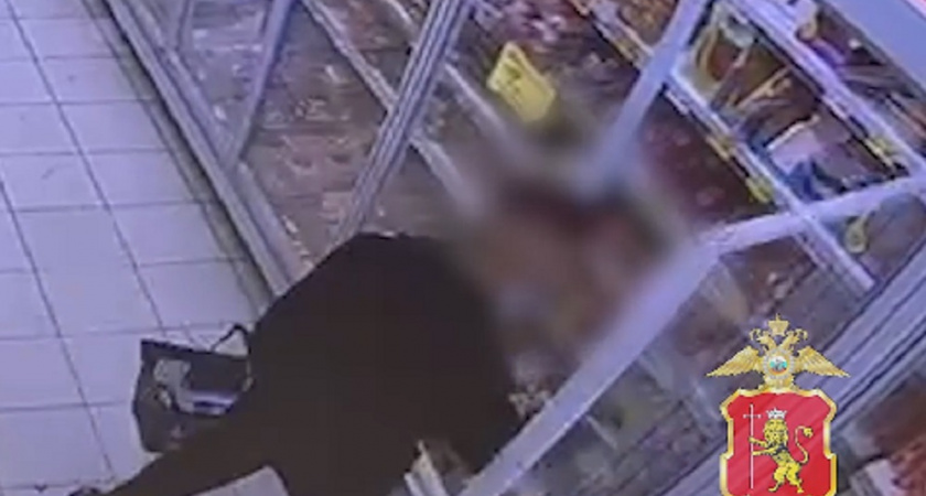 В Меленках инспекторы ДПС поймали вора с украденными продуктами