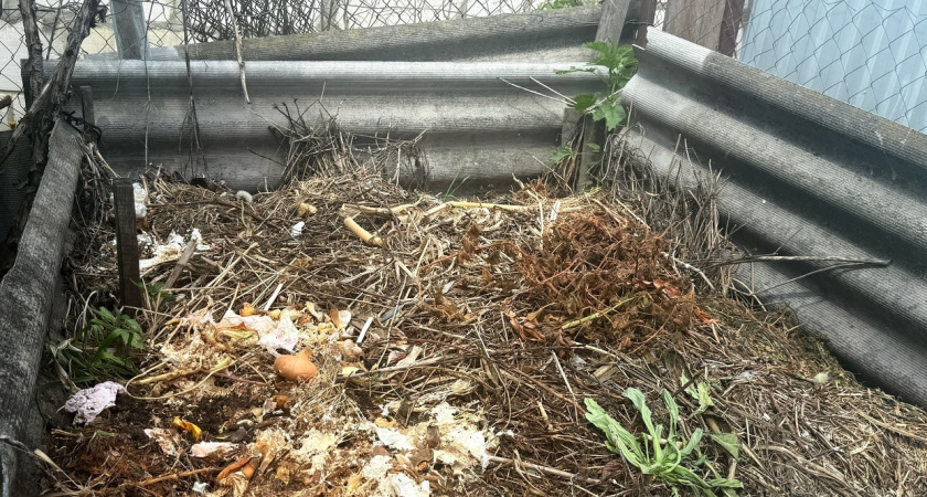 Утепляем компостную кучу на зиму по науке: секреты и советы опытного агронома