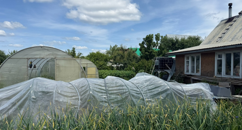 Стратегия для умного огорода: как спланировать грядки в октябре и забыть о весенней суматохе