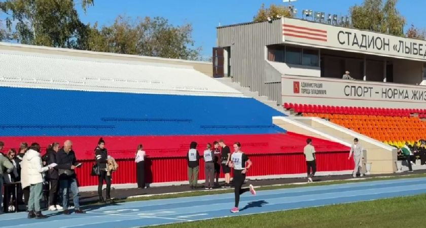 Более семидесяти владимирцев сдали норматив для значка «ГТО»