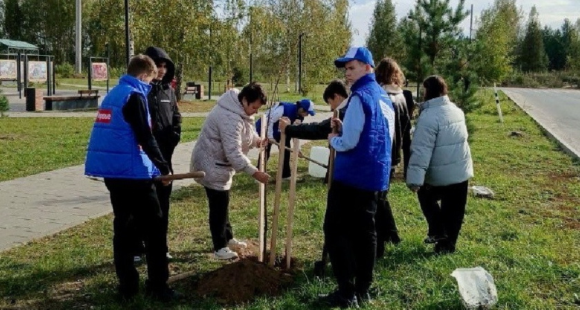 Аллея Героев появилась в Покрове