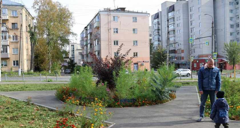 Владимир ждет масштабное озеленение в 2026 году 