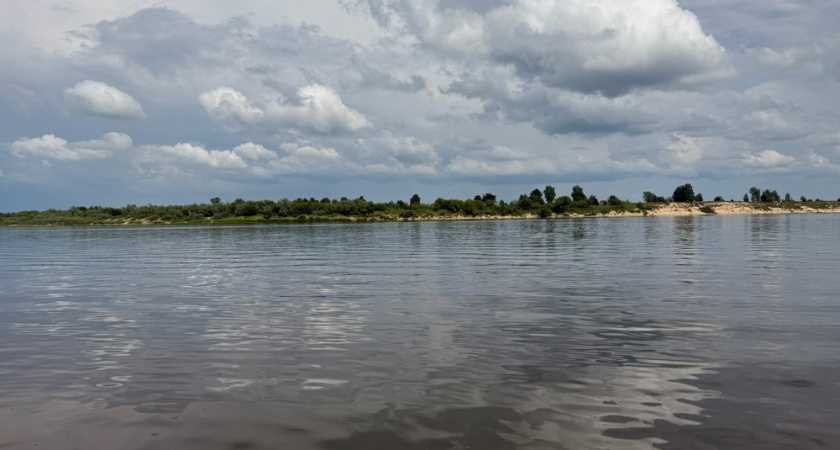 Владимирские реки признали самыми загрязненными в стране