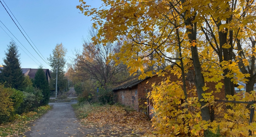 Метеорологи прогнозируют дожди в Владимирской области.