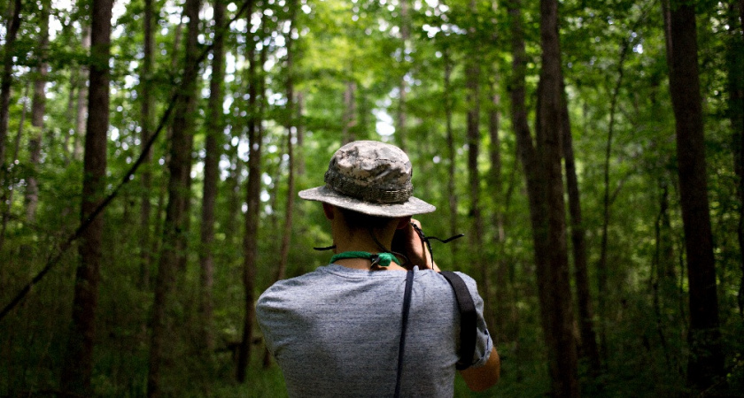 Владимирец расправился с девушкой и спрятал её тело в лесу