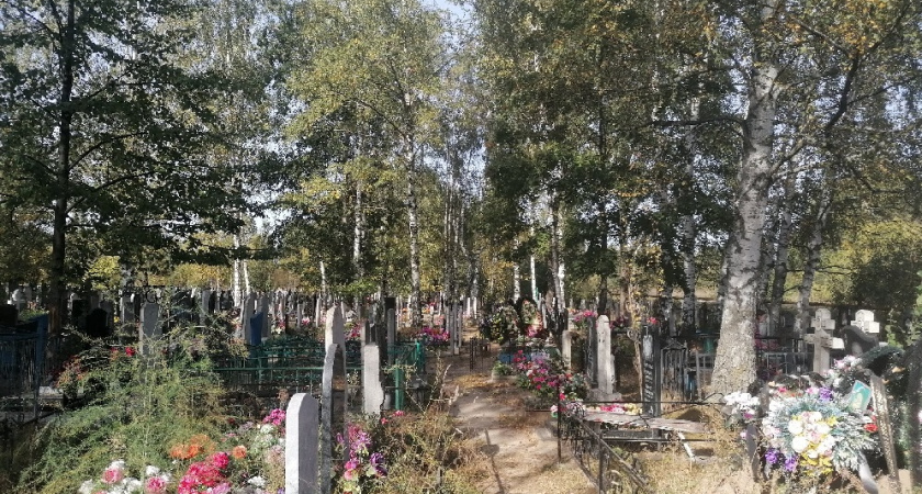 СК начал проверку по факту вандализма на кладбище в Никологорах