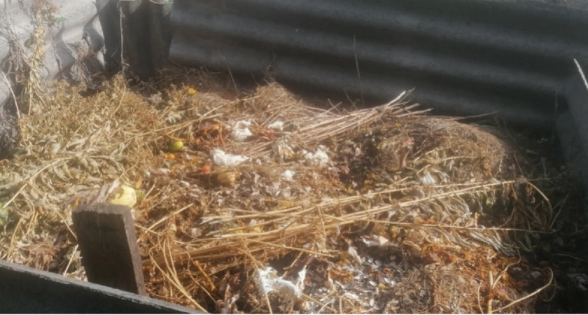 Готовим компост к морозам: просто о главном для щедрого урожая - 5 важных шагов