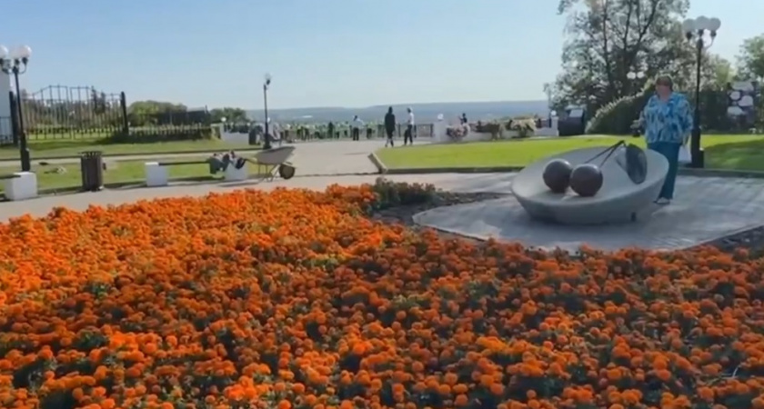 Комиссия по озеленению начала работу во Владимире