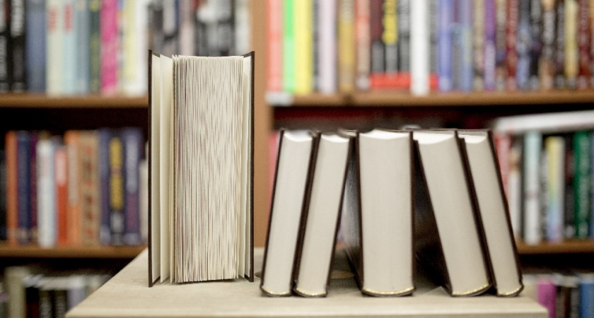 Всероссийский день чтения отпразднуют во Владимире