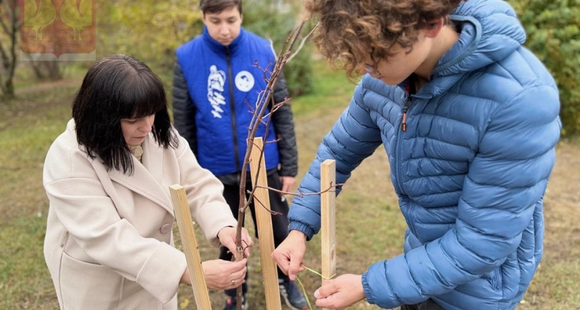 В Покрове школьники высадили деревья в честь защитников Отечества