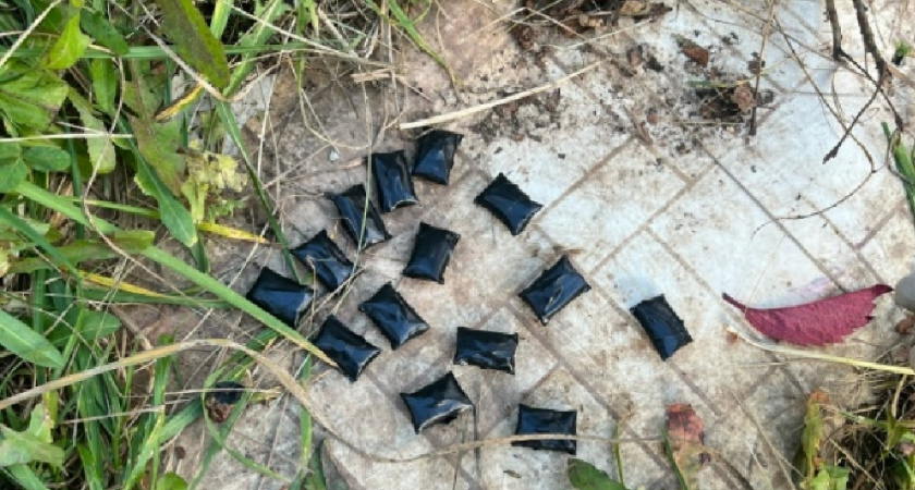 Владимирец пытался продать крупную партию запрещённых веществ