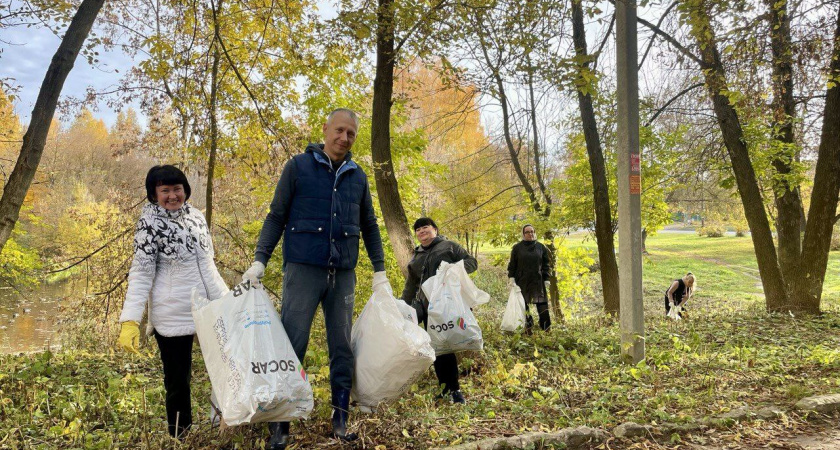 Жители Владимира активно помогают навести порядок на улицах города