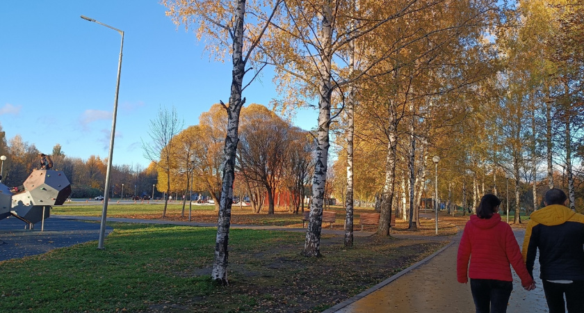 Жителей Центральной России предупредили о заморозках: когда ждать снега? Новый прогноз синоптиков