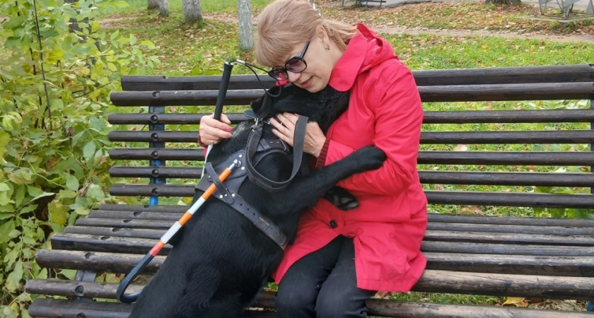 Жители Владимирской области могут оформить собаку-поводыря через Соцфонд