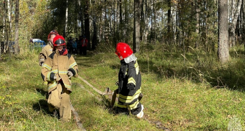 Команды из 17 школ Коврова участвовали в «Школе безопасности»