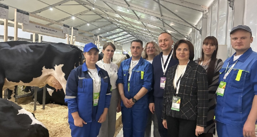 Владимирские аграрии завоевали «золото» на выставке «Золотая осень»