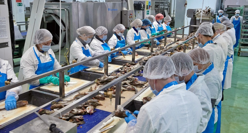 Более 40 тысяч жителей Владимирской области ищут новую работу