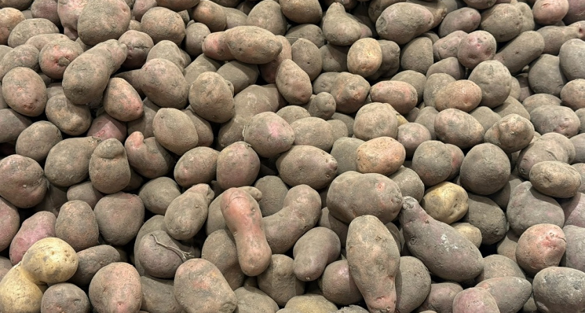 Никакой сырости и ростков: что я кладу в ящик с картошкой для идеального хранения - личный опыт
