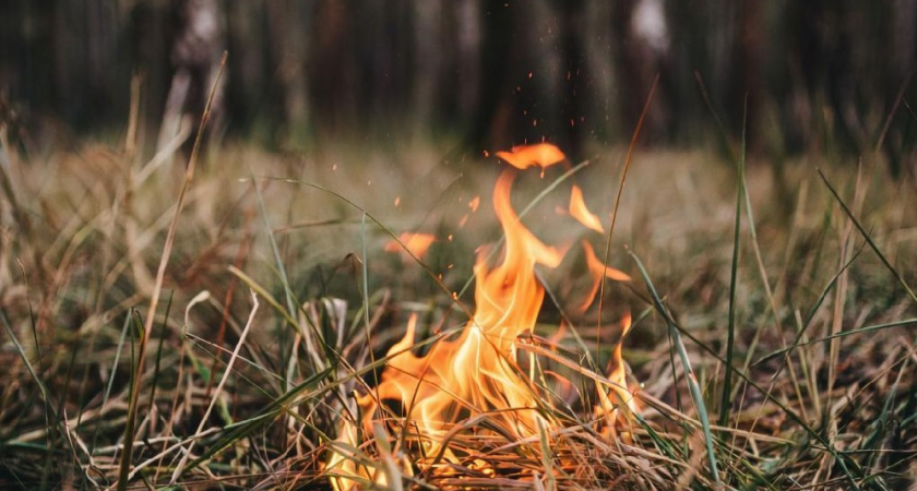 Новая техника помогла лесничествам справиться с возгораниями