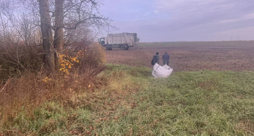 Свалку площадью 1500 квадратов убрали из леса под Юрьев-Польским