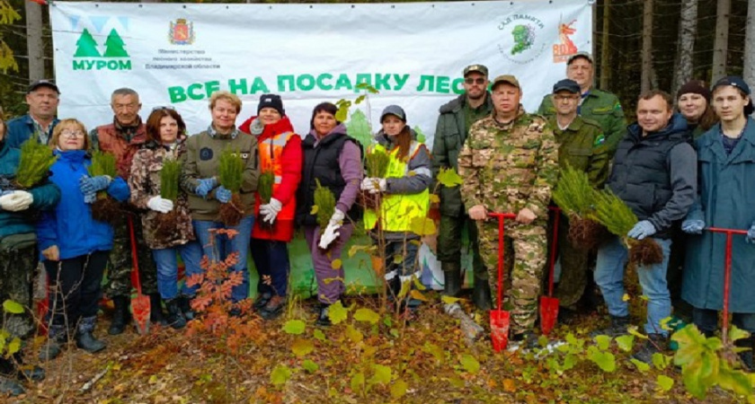 Владимирская область пополнилась новыми деревьями во время осенней акции