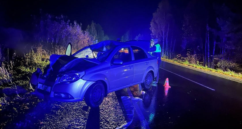 На трассе в Камешковском районе машина сбила пешехода