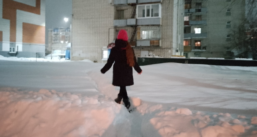 Этой зимой в Центральной России будет много снега, но мало морозов: подробный прогноз