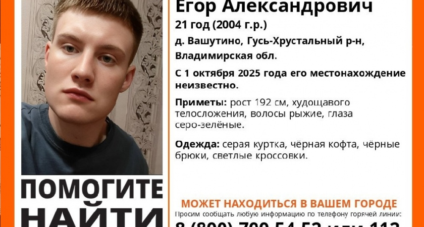 21-летний житель Владимирской области пропал в начале октября